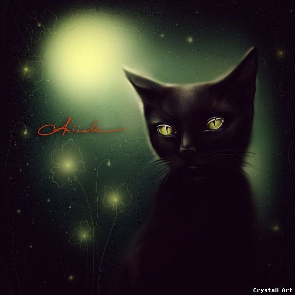 Crystall Art - Black Cat