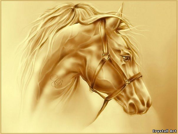Crystall Art portrait og horse