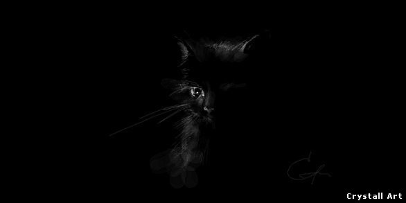 Crystall_Art_grafitti-Black_Cat